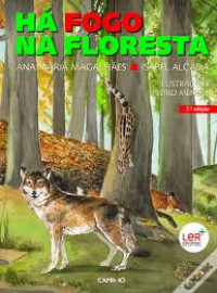 Image of Há Fogo na Floresta
